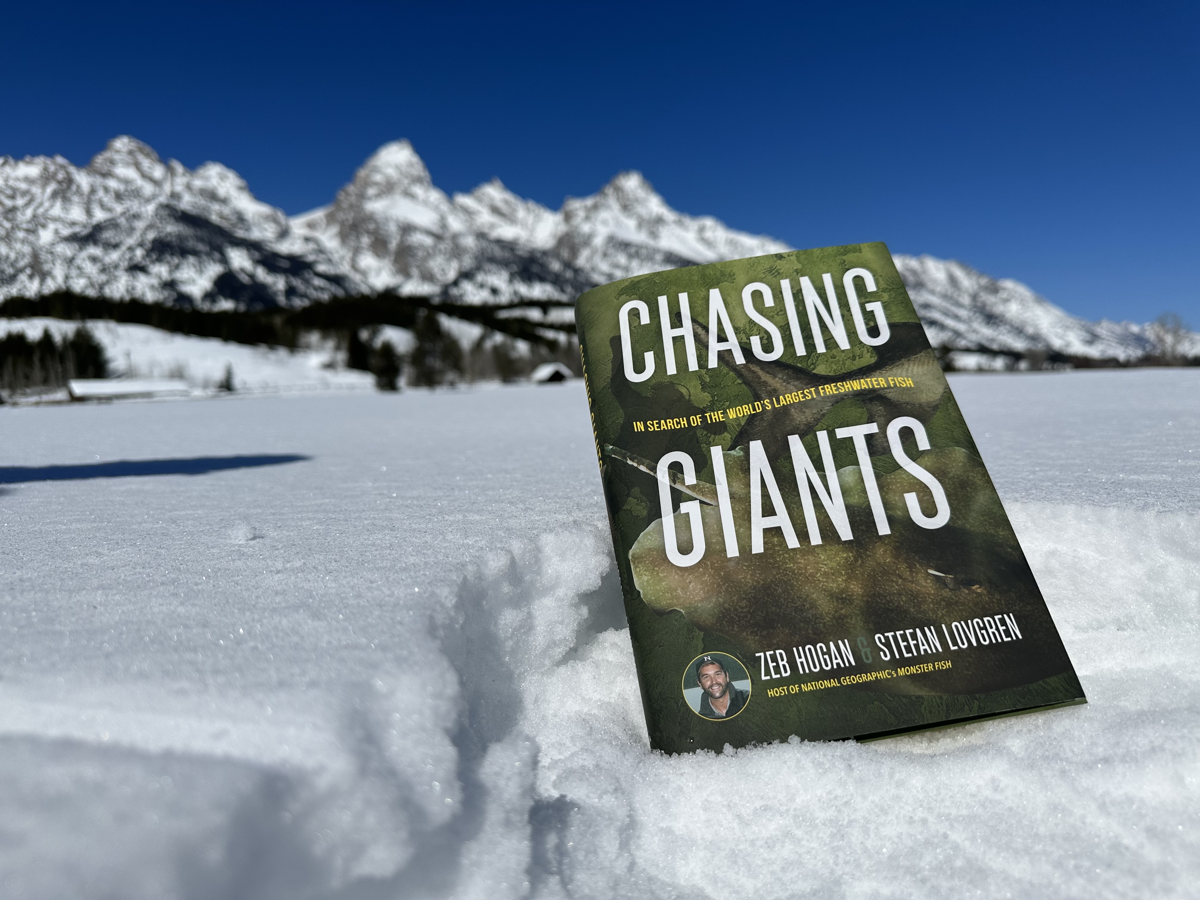 Chasing Giants book
