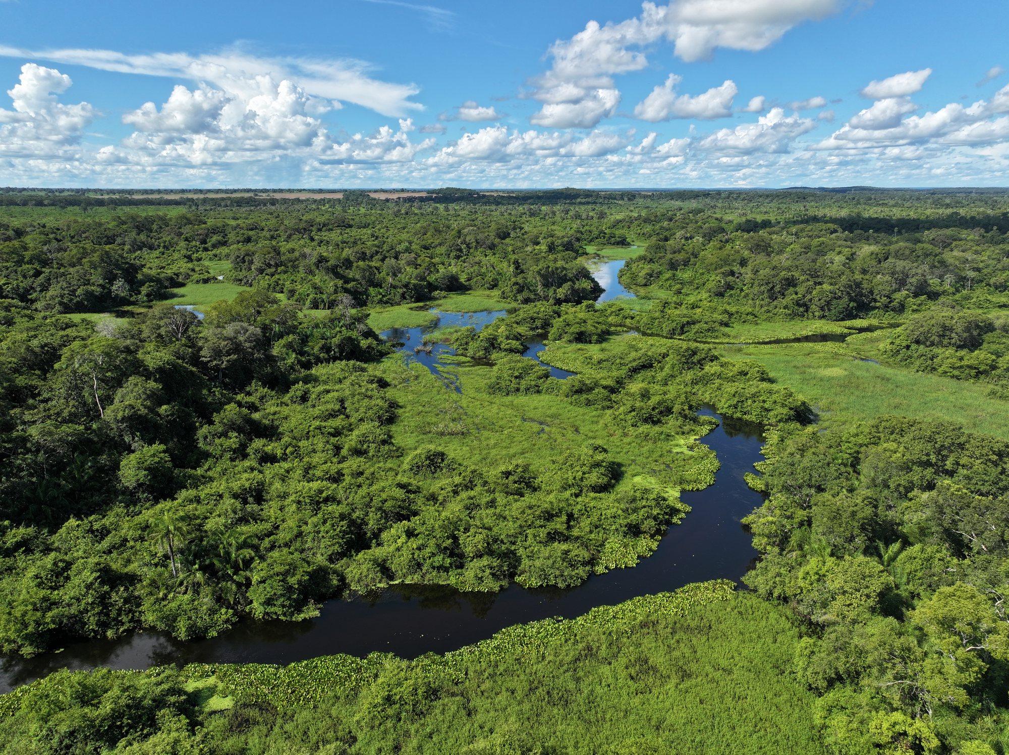 Aerial view of the Pantanal wetlands in Brazil