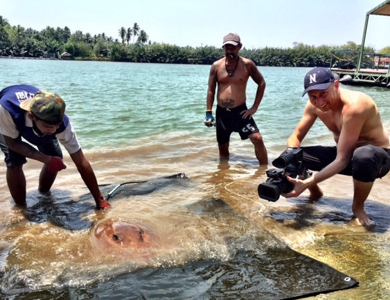 Stefan Lovgren filming a giant freshwater stingray in Thailand