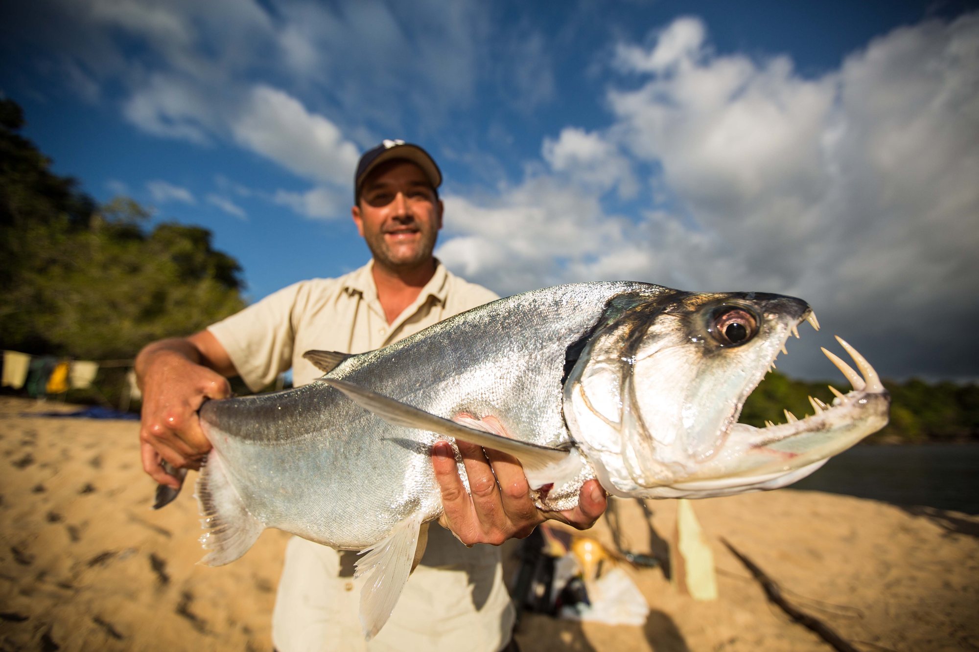 Zeb Hogan holding a payara, or vampire fish